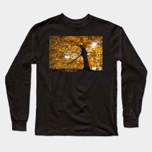 Golden sunshine in the fall in Central Park, New York Long Sleeve T-Shirt